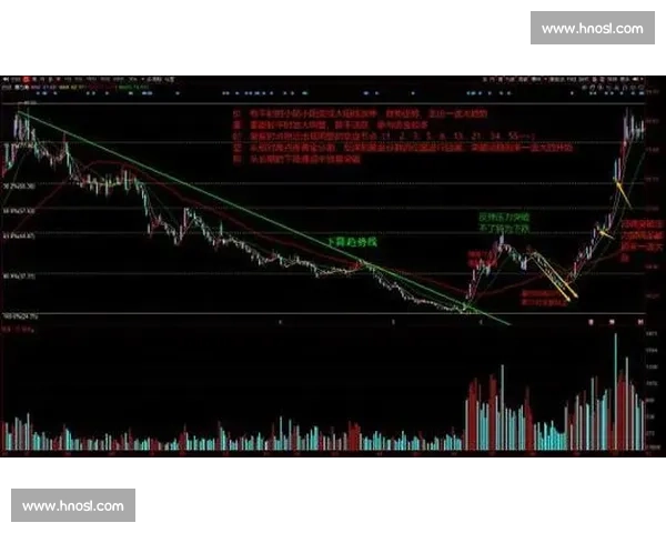 广西vs区域经济竞争格局与产业升级发展新机遇解析全面观察趋势